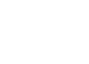 Logotipo da radicais natureza cliente da Agência publicidade e design Raízes
